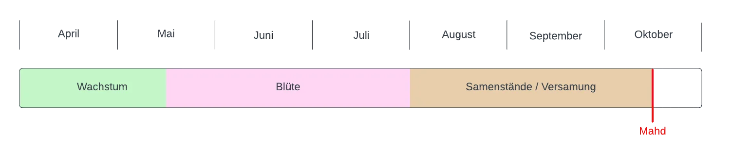 Diagramm einschürige Mahd